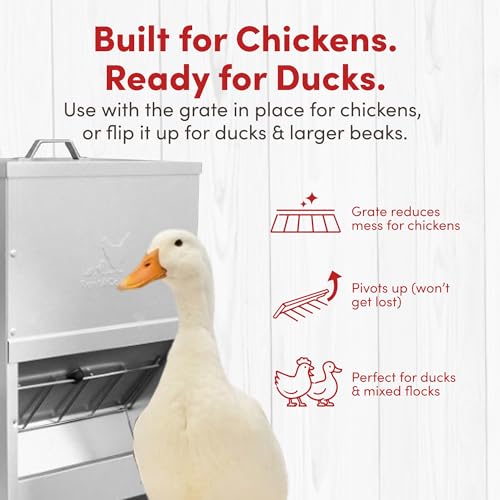 RentACoop Metal Trough Feeder, Gravity-fed 10lb Chicken Feeder - size: 10LB Capacity
