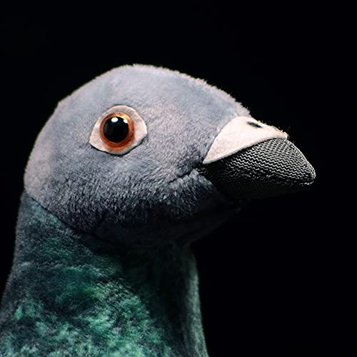 Grey Pigeon Plush Toy - Simulation Rock Columba Rupestris Stuffed Animal, Cute Rock Pigeon Plush Toy as Gift for Your Friends - style: Grey Piegon