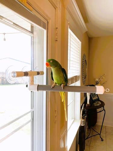 Polly's Portable Window-Shower Perch with Suction Cups for Cockatiels, Macaws, African Greys (Deluxe, Large) - size: Large