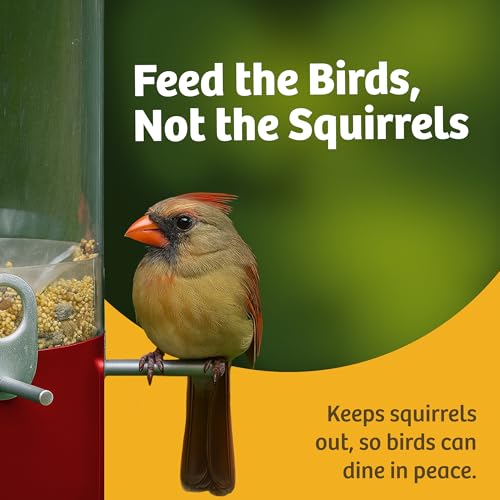 Birds Choice Classic Squirrel Proof Bird Feeder with Pole Mount | Tube Bird Feeder for Cardinals, Chickadees, Woodpeckers | Sturdy Steel for Long-Lasting Use | Backyard Bird Seed Dispenser | Green | Sturdy Steel Tube Seed Dispenser, for Cardinals, Chickad