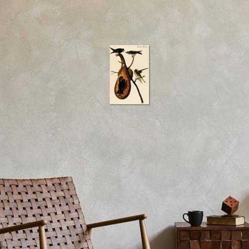 ART.COM Wall Art Print Purple Martin by John James Audubon, 12" x 18" - color: Print Only, size: 18"L x 12"W, style: Unframed