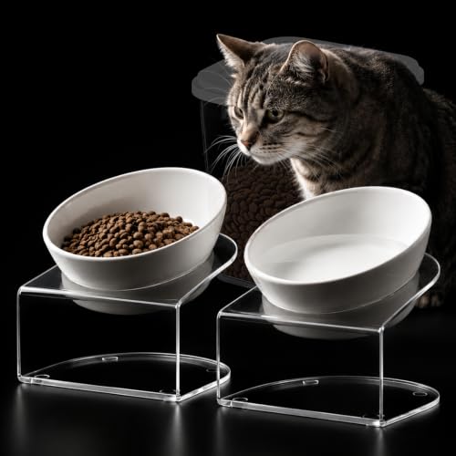 Elevated Cat Bowls, Tilted Melamine, White, 2 Pack | Two tilted melamine bowls support comfortable feeding for cats, kittens, flat-faced pets, and small dogs; white finish. - color: 20LBS-3Pack-White-1