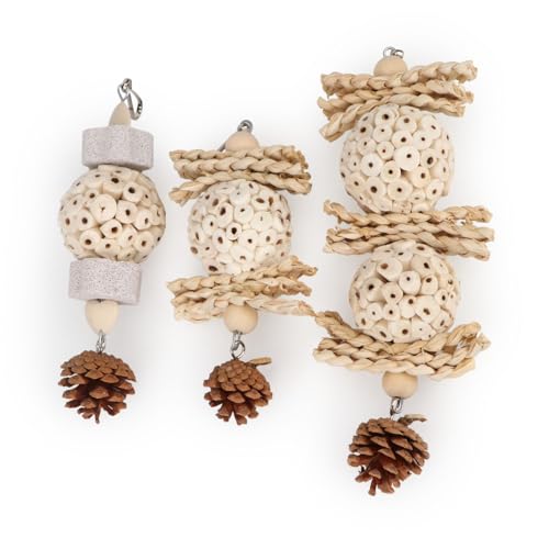 Wontee Bird Toys 3 Pack Parrot Foraging Hanging Toys Sola Ball Natural Nuts Chew Toys for Cockatiels Conures Parakeets Budgies Senegal (3 Pack) - size: 3 Pack