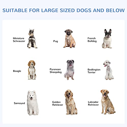 PawHut Outdoor Dog Kennel, Heavy Duty Dog Run Outdoor Fence with Waterproof Cover, Galvanized Chain Link, Secure Lock, 9.8' x 9.8' x 7.7' | Outdoor Fence, Waterproof Cover, Galvanized Chain Link, Secure Lock - size: 118.0"L x 118.0"W x 92.3"H