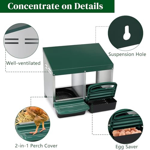 Chicken Nesting Box, Roll Out Metal Chicken Nest Box with Egg Tray, 2 Compartment Hen Nesting Box for Laying Hens, Durable Poultry Nesting Box with Plastic Basket, Green - color: Green-1, size: 2 Holes