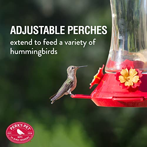 Perky-Pet 476 Glass 20-Ounce Hummingbird Feeder - color: Red