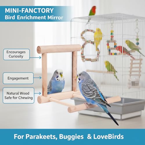 Bird Mirror Toy for Parakeet, Budgie, and Lovebirds - MINI-FACTORY Safe Enrichment Cage Accessory with Natural Wood Perch for Small & Medium Birds