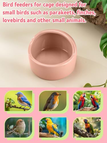 2 Pcs Bird Food Bowl Small Ceramic Bowls for Birds Parakeet Food Bowl Parrot Feeding Cups, Bird Cage Feeder with 2 Plastic Feeding Clips for Parakeets Conure Cockatiels Lovebird Budgie (Pink) - color: Pink