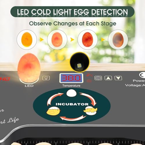 12 Egg Incubator - Automatic Egg Turner, Temperature Control, Built-in Candler, Auto Water Refill for Hatching Chicken, Duck, Quail & Bird Eggs