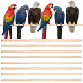 Sintuff 8 Pcs Bird Perches for Cage Accessories, Wooden Perch Rods Replacement with Double Head Slots, 0.6 Inch Diameter Natural Wood Stand for Parrot Macaw Cockatoo Parakeet (30 Inches) - size: 30 Inches