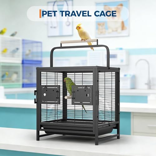 19-Inch Wrought Iron Bird Cage, Travel Carrier for Small Birds, Parrot Cage with Removable Tray & Wooden Perch, Ideal for Parakeets, Cockatiels, Lovebirds, Conures, Budgies, Canaries, Pigeons