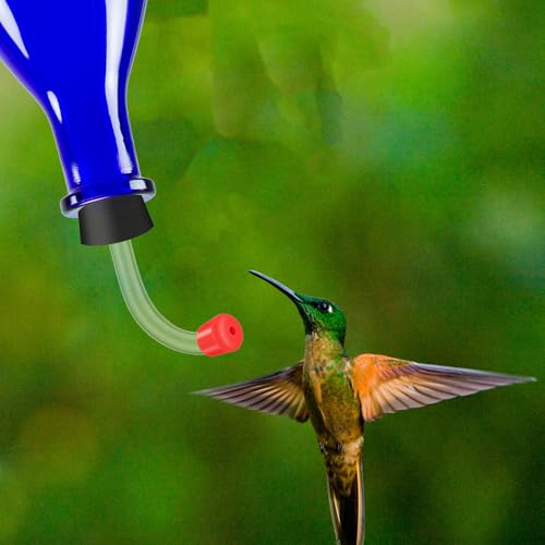10 Pcs Hummingbird Feeder Tubes and Stopper Replacement Parts Humming Bird Feeder Tube Make Your Own Dispenser Outside Water Dispenser Tubes Stoppers for Wine Bottle Outdoor
