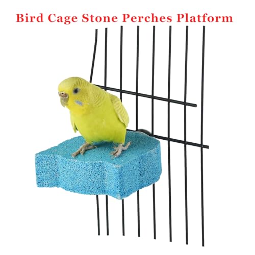 2Pcs Bird Beak Grinding Stone Perch Parrot Calcium Chewing Claw Trimmer Toy | Bird Cage Natural Volcanic Rock Mineral Platform Stand, Chinchillas Rabbits Lava Blocks Chews for Teeth, Small Medium Parrots