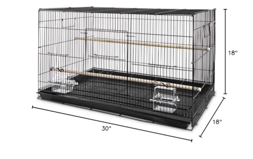 You & Me Finch Rectangle Flight Cage