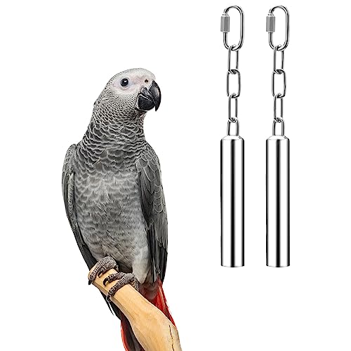 Wontee Stainless Steel Bell Toy Bird Cage Hanging Bite Toy for Parrot Parakeet Budgie Cockatiel Conure African Greys (2 PCS-L) - size: 2 PCS-L