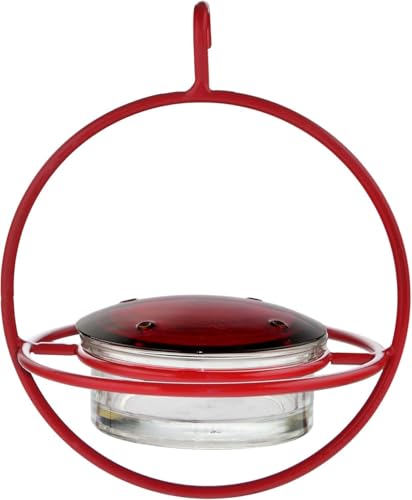 Hummingbird Feeder for Outdoors Hanging, 3.4 OZ Hummingbird Feeders, Glass Bowl with 4 Feeding Ports, Leak Proof Lid & Circular Perch, Bird Feeder (1, Red) - color: Red