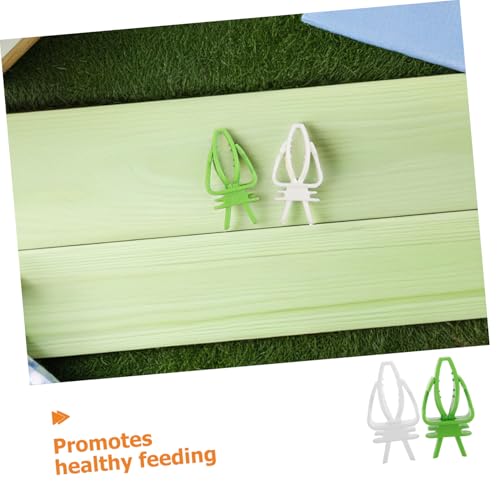 Totority 40pcs Parrot Food Holder Clips for Bird Cage White Green Vegetable Fruit Skewers for Millet Snacks and Fresh Feeding Cage-Mounted Bird Food Holder Healthy Foraging and Feeding