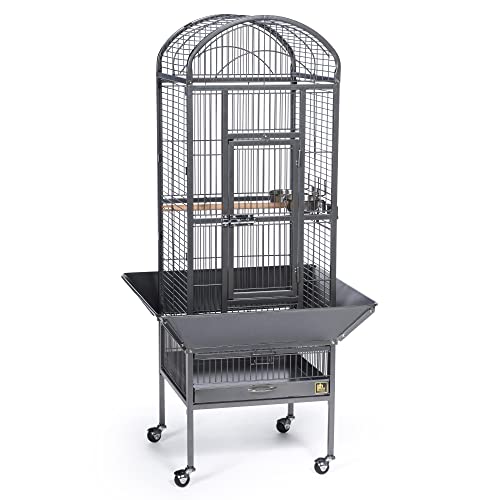 Prevue Pet Products Dome Top Bird Cage with Push Button Locks - Black | Powder‑Coated Steel Cage with Wheels, Seed Guards, and Perch, Ideal for Cockatiels and All Small-Medium Sized Birds - color: Black Hammertone, size: 18.0"L x 18.0"W x 54.6"H