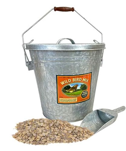 Woodlink Rustic Farmhouse Seed Container & 10 lbs. Waste Free Seed