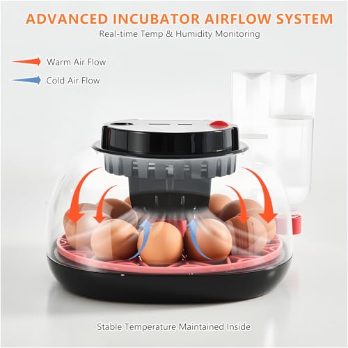 Incubators for Hatching Eggs - 12 Egg Capacity, Egg Incubator with Automatic Egg Turning and Temperature Control, Incubator for Chicken, Duck, Goose, Quail, 360° Full View, Home Farm Classroom Use