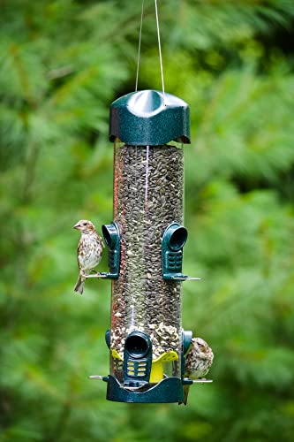 Brome Mega 600 Bird Feeder – Large Capacity Tube Feeder for Wild Birds, 6 Feeding Ports, 4 lb Seed Capacity, Easy to Clean, Metal Ports, Extendable Perches | Six metal ports, extendable perches, easy cleaning