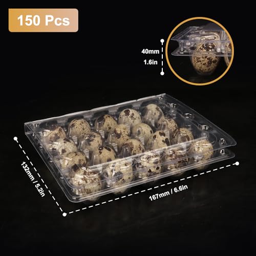 150 Pack Quail Egg Cartons, Clear Plastic Quail Egg Trays, Holds up to 20 Quail Eggs Securely - Your Ultimate Small Eggs Carton Holders for Bulk Storage and Display - size: 150 Pack Quail Egg Cartons 20 Grids