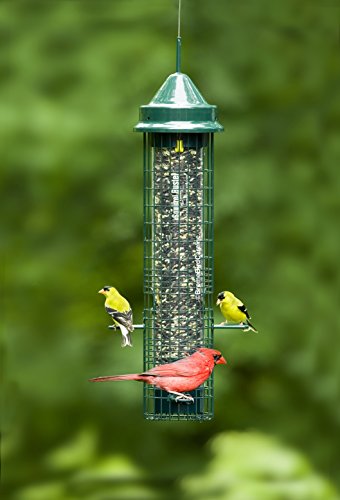 Squirrel Buster Classic Squirrel-proof Bird Feeder w/4 Feeding Ports, 2.4-pound Seed Capacity | Four feeding ports, weight-sensitive closure, seed ventilation, wire mesh for shared feeding