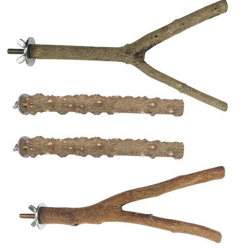 4 PCS Natural Parrot Perch Wooden Parrot Perch Stand Bird Stand Parakeet Climbing Standing Branches Toy for Small Lovebirds Budgies Cockatiels