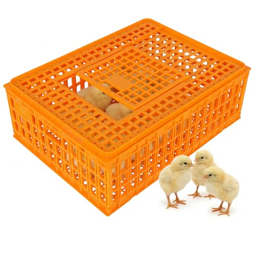 6pcs Chicken Carrier Chicken Transport Cage Crate with Sliding Door 29.5x21.6x10.6inch Chick Boxes for Transport Bird Travel Carrier for Poultry Bird Duck Goose (Carton Delivery)
