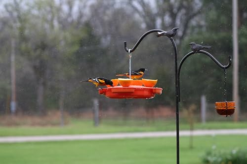 Ultimate Oriole Feeder, Nectar Jelly Fruit and Mealworm Station | Multi-Food Oriole Feeder; Nectar Jelly Fruit; Mealworm Station; Bright Orange