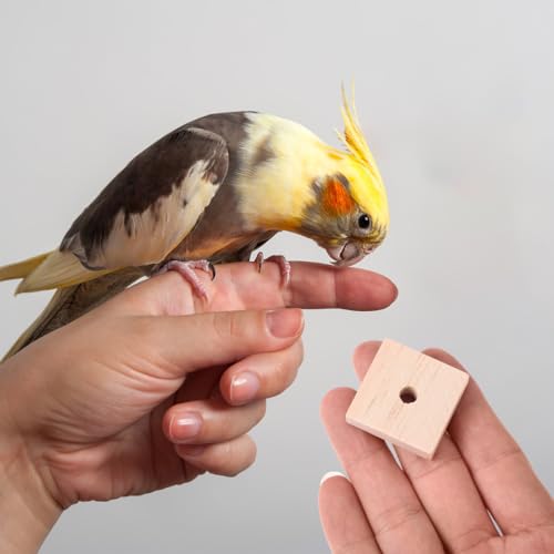 Yardwe Parrot Chewing Blocks 100Pcs Balsa Wood Bird Chew Toy Set with Hanging Holes Bird Toys Making Supplies for Cage Enrichment Beak Trimming DIY Craft for Parakeet Cockatiel Macaw