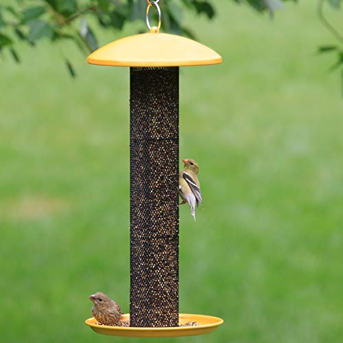 Perky-Pet YSSF00346-2 Straight-Sided Thistle Seed Wire Mesh Tube Finch Bird Feeder | Wire Mesh, Metal Construction, Evenseed Technology, Circular Seed Tray, Hummingbird Feeders for Outdoors