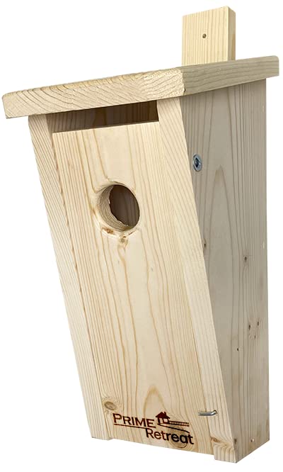 Slant-Front Bluebird House by Prime Retreat