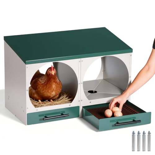 Chicken Nesting Box Roll Away Nest Boxes for Laying Hens 2 Compartments | Metal Nest Box for Chickens with Egg Collection Drawer & Lid Wall-Mounted Chicken Laying Boxes Perfect for Backyard and Farms