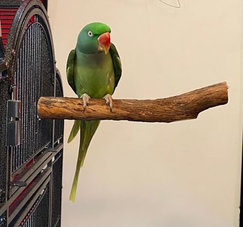 Polly's Single Bolt Hardwood Cage Perches Made in USA for Budgies, Parakeets, Cockatiels, Greys, Amazons, Blue & Gold Macaws, Cockatoos, Green Wing Macaws & Hyacinths. (Large) - size: Large