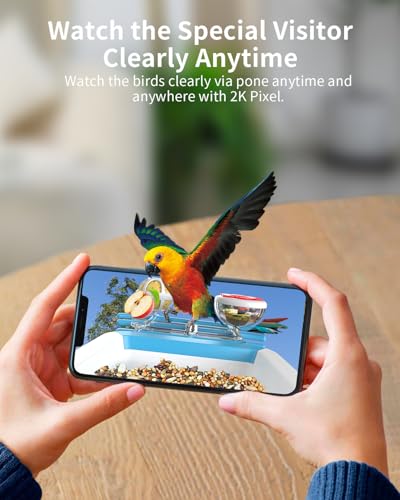 Bird Feeder with Camera, 2K Smart BirdCamera with Solar Powered, AI Identify Birds Species, Instant Arrival Alerts, 2.4Ghz WiFi Bird House for Outdoors, Ideal Gift for Family and Bird Lovers (Blue) - color: Blue