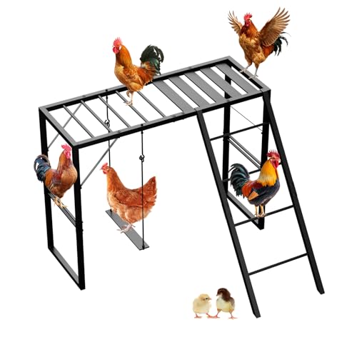Metal Chicken Perch with Swing & Ladder for Coops or Runs, Black | Rustproof Roosting Bars, Chicken Coop Accessories for Outdoor Chicken Playground & Jungle Gym to Keep Flock Happy and Active - color: Black