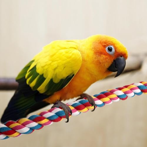 Bird Rope Perches,Parrot Toys 41 inches Rope Bungee Bird Toy (41 inches)[1 Pack] - size: 41 inches