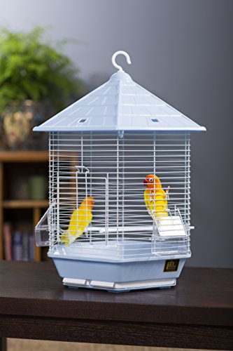 Prevue Pet Products SP31998LIGHTBLUE Copacabana Bird Cage, Light Blue - color: No Color