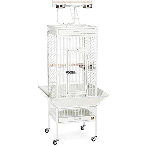 Prevue Hendryx 3151C Pet Products Wrought Iron Select Bird Cage, Chalk White | Steel Cage with Rolling Stand and Seed Guards, Tall Vertical Design, Ideal for Cockatiels and Medium Birds - color: Chalk White, size: 18.0"L x 18.0"W x 57.0"H