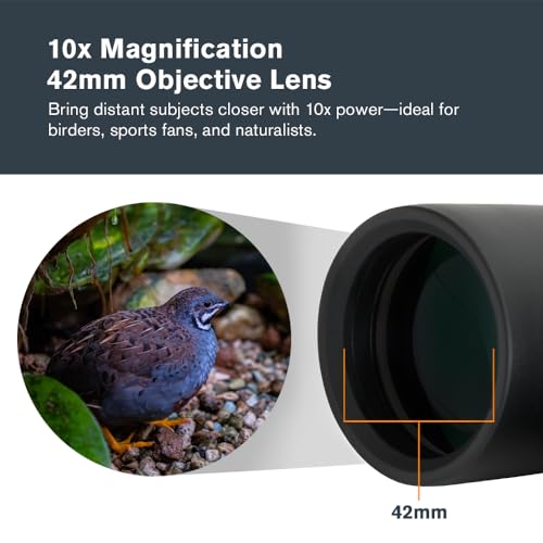 Celestron Outland X 10x42 Binoculars for Wildlife & Hunting | Built for the Outdoors, Rugged Rubber-Armored Body, Waterproof, BaK-4 Prisms, Multi-Coated Optics, Bright, Clear Views - size: 10x42 Outland X, style: Outland X 10x42
