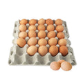Stromberg's 30-Count Paper Egg Filler Flats, Biodegradable Bulk Egg Trays for Chickens and Ducks, Eco-Friendly Egg Flat for Safe Transport, Storage, and Sale, 140-Pack (Eggs Not Included)