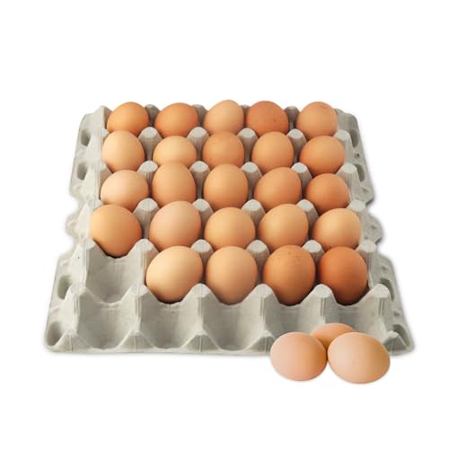 Stromberg's 30-Count Paper Egg Filler Flats, Biodegradable Bulk Egg Trays for Chickens and Ducks, Eco-Friendly Egg Flat for Safe Transport, Storage, and Sale, 140-Pack (Eggs Not Included)