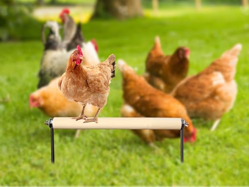 Chicken Perch Toys, Wooden Chick Perch Stand with Metal Ground Plug, Outdoor Birds Training Platform, Chicken Coop Accessories, Suitable for Poultry Rooster Chicks Large Birds Chicks Parrots - size: 17.7 Inch Long