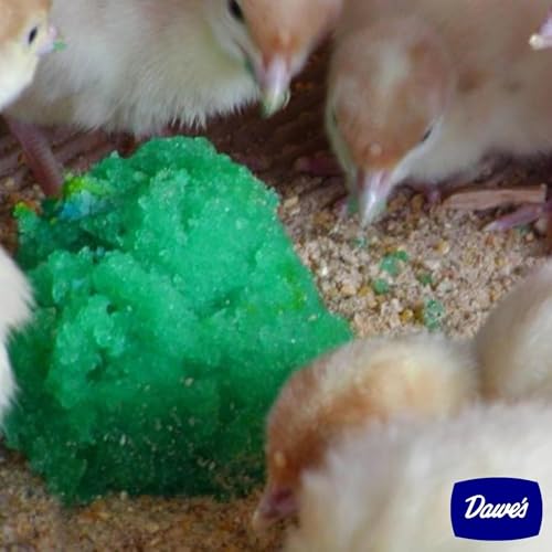 Grogel Plus-B Hatchling Nutritional Gel – 100 Dose Pack (5 Packs) – Hydration & Nutrient Support for Baby Chicks, Poults, Ducklings & Quail Nutrition