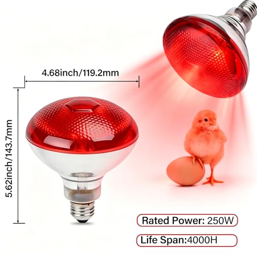 6 Pack 250W Chicken Heat Lamp Bulbs, Infrared Heat Lamp for Chickens, Heat Light Bulb for Brooder Coop, Food Service, Chicks, Pet, Reptile