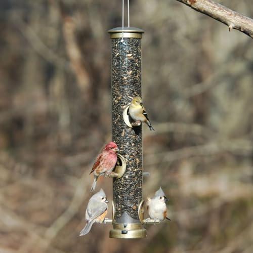 Aspects Small Seed Tube Feeder in Blue Size: Large, Finish: Antique Brass - color: Antique Brass, size: Large