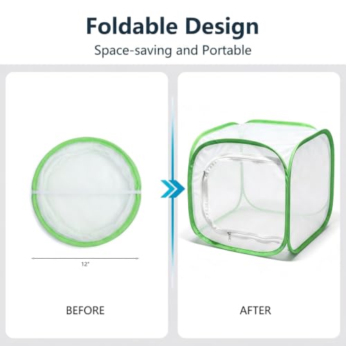 Insect & Butterfly Habitat Cage, Portable Pop-Up Terrarium with Mesh Sides, Bug Catching & Observation Enclosure for Caterpillars, Small Insects, Outdoor & Classroom Use, 12 Inches Tall - color: White/Green, size: 12 × 12 × 12 inches