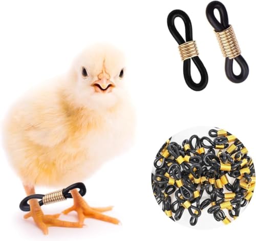 50 Pcs Black Baby Chick Splay Leg Hobble Chicken Leg Bands, Adjustable Chicken Hobble Braces for Spraddle Leg Repair Poultry Care Supplies, Bird Ducks Newly Hatched, Poultry Feeding Equipment