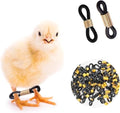 50 Pcs Black Baby Chick Splay Leg Hobble Chicken Leg Bands, Adjustable Chicken Hobble Braces for Spraddle Leg Repair Poultry Care Supplies, Bird Ducks Newly Hatched, Poultry Feeding Equipment